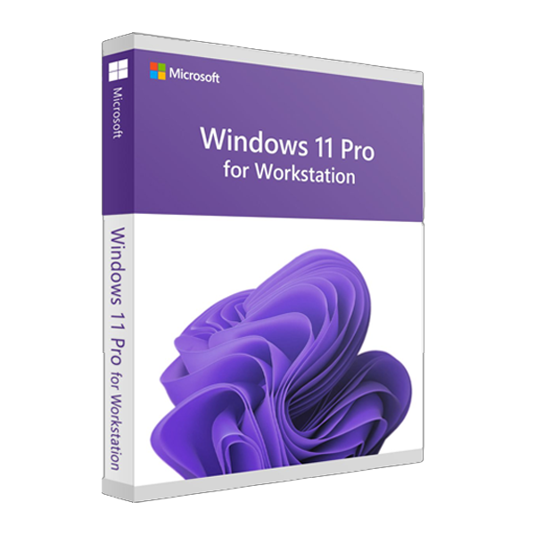 Windows 11 Pro for WORKSTATION